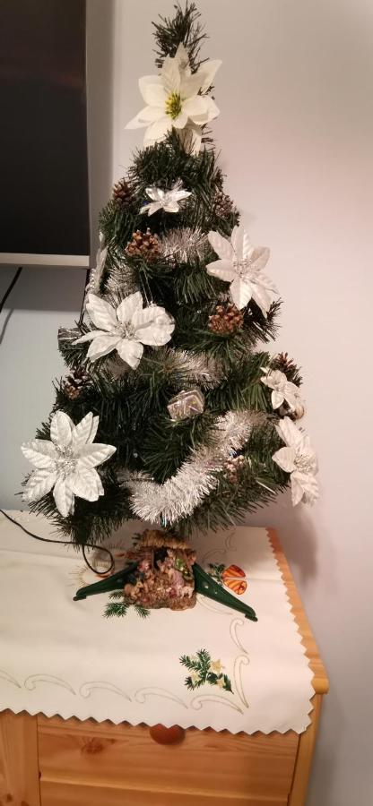 Apartament Milka W Dusznikach Zdroju Duszniki Zdroj Luaran gambar