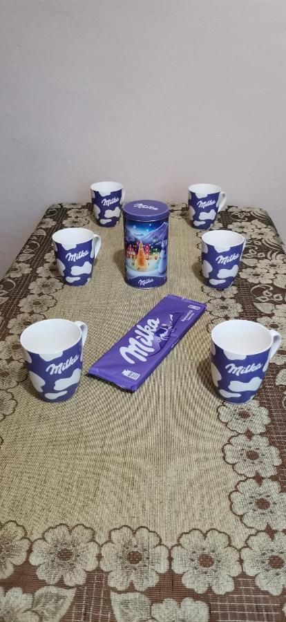 Apartament Milka W Dusznikach Zdroju Duszniki Zdroj Luaran gambar