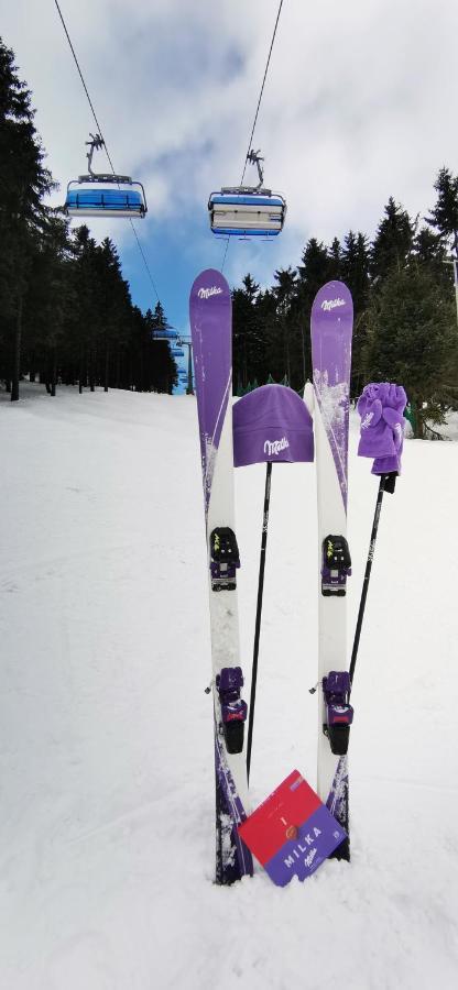 Apartament Milka W Dusznikach Zdroju Duszniki Zdroj Luaran gambar