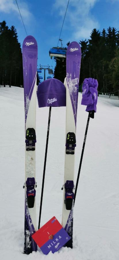 Apartament Milka W Dusznikach Zdroju Duszniki Zdroj Luaran gambar
