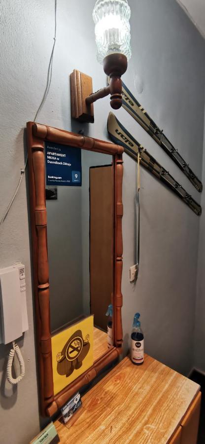Apartament Milka W Dusznikach Zdroju Duszniki Zdroj Luaran gambar